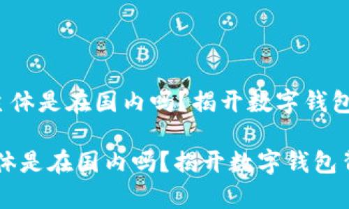 《t p钱包的主体是在国内吗?揭开数字钱包背后的真相》
t p钱包的主体是在国内吗?揭开数字钱包背后的真相