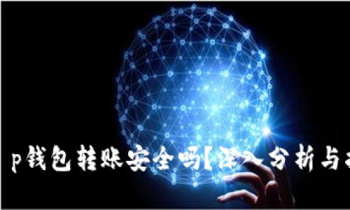 : t p钱包转账安全吗?深入分析与指南