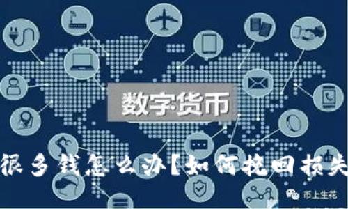 TP钱包输了很多钱怎么办?如何挽回损失与风险控制