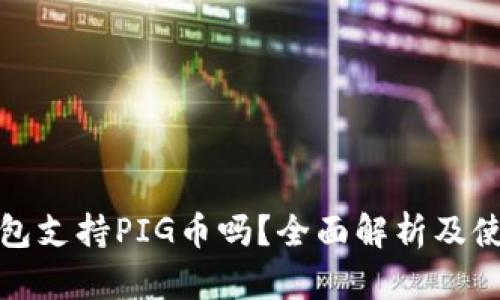 : TP钱包支持PIG币吗？全面解析及使用指南