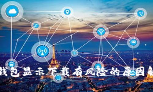 TP钱包显示下载有风险的原因解析