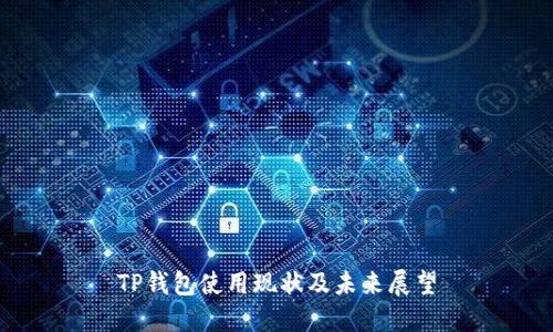 TP钱包使用现状及未来展望