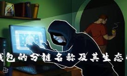 TP钱包的分链名称及其生态解析